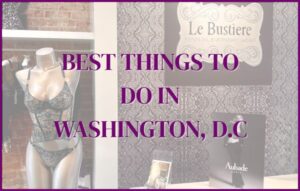Best Things to do in Washington DC Le Bustiere main